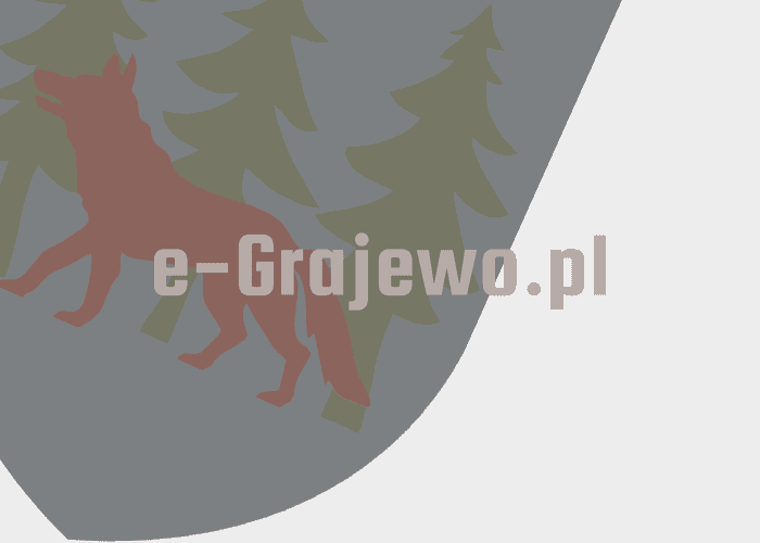 Zderzenie volvo z oplem za Grajewem